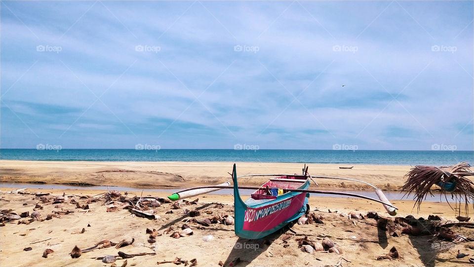 the beauty of a beach