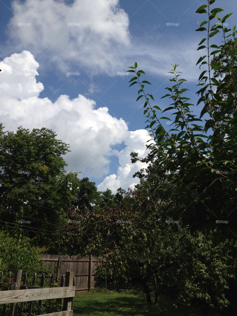 sky garden clouds trees by jmh