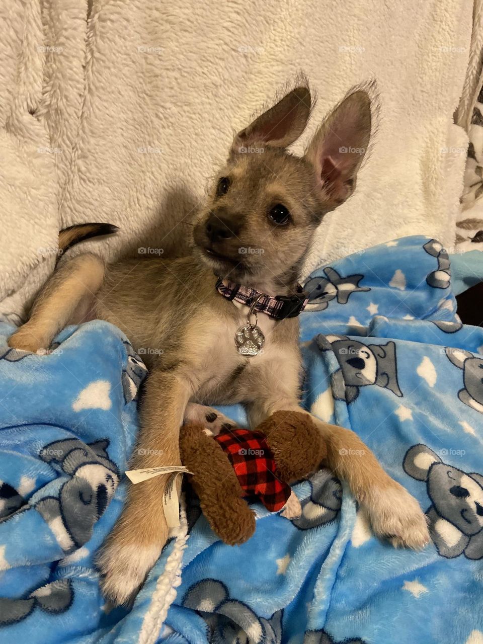 You have her full attention