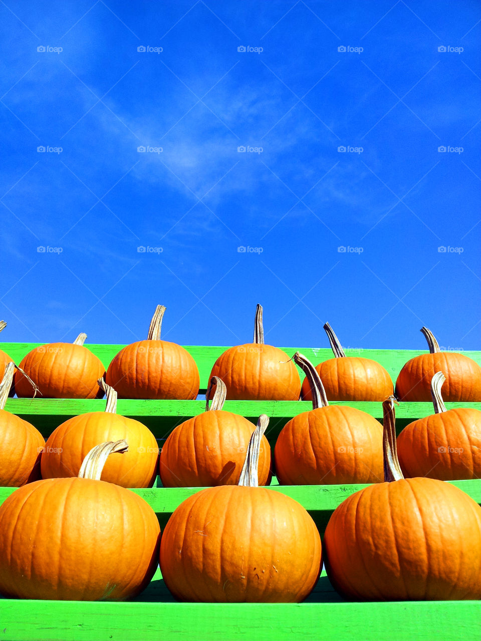 Display of pumpkins up for sale