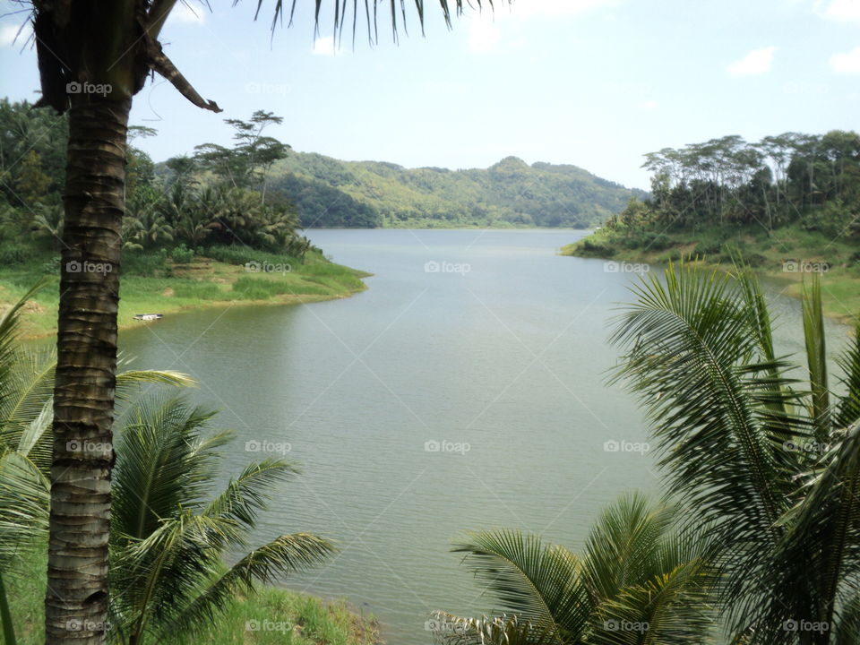 reservoirs between mountains and trees