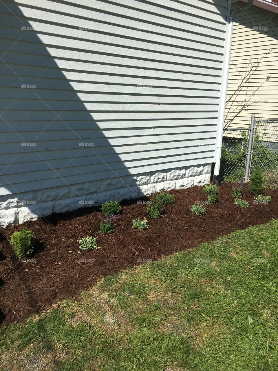Backyard flower garden