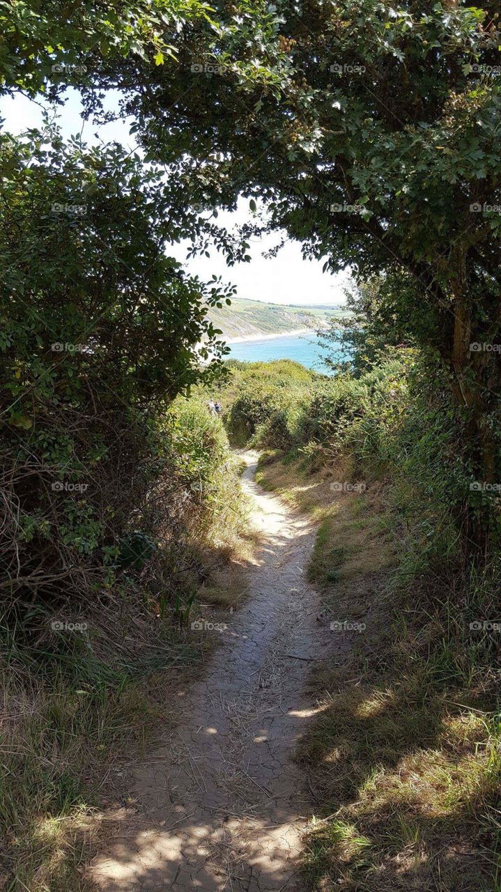 Jurassic Coast, Dorset UK