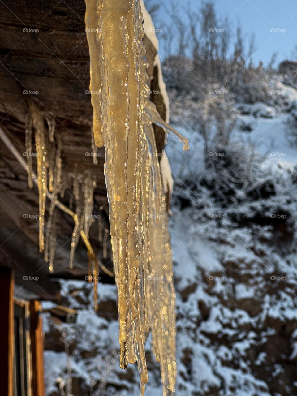 Icicle 
