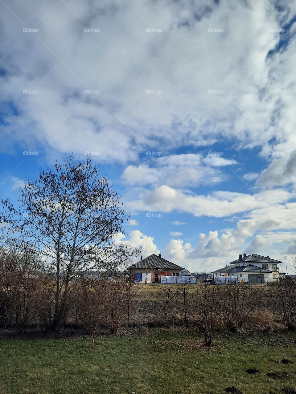 early spring in the garden - white clouds  blue sky green grass