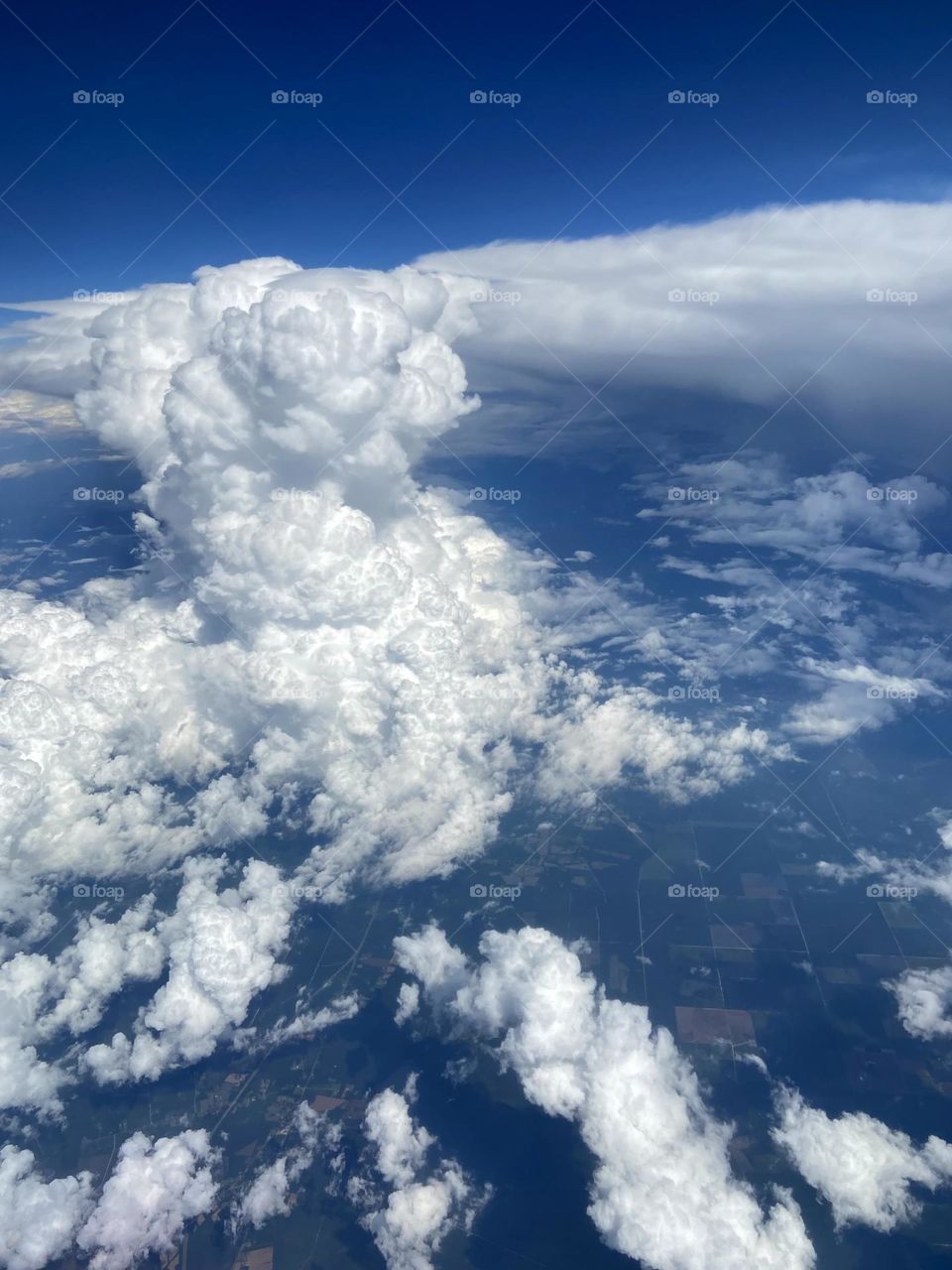 Looks like cotton to me 👀