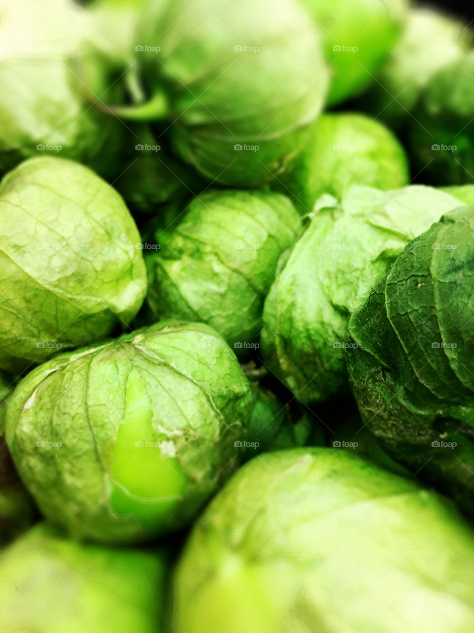 Brussel Sprouts 