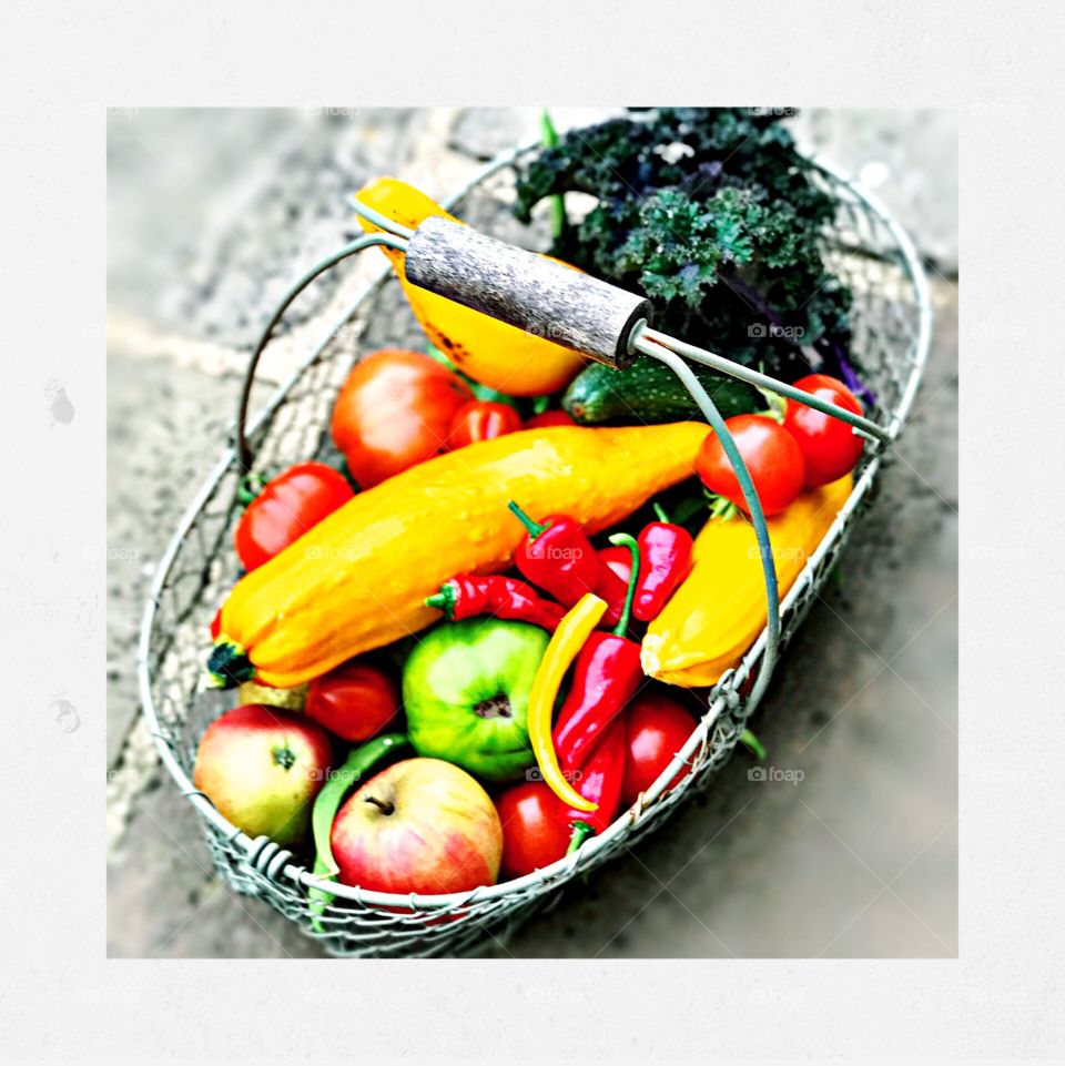 Harvesting vegetables 