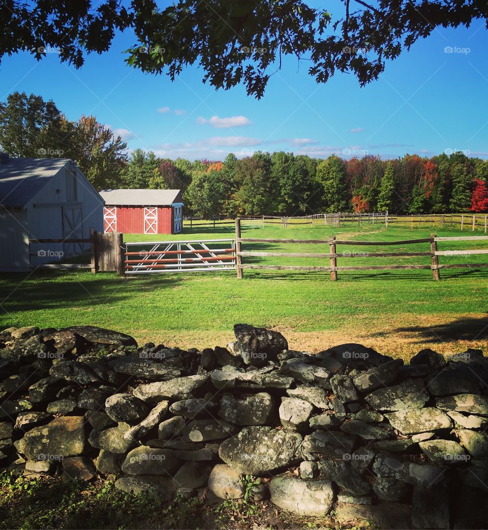 Farm in fall