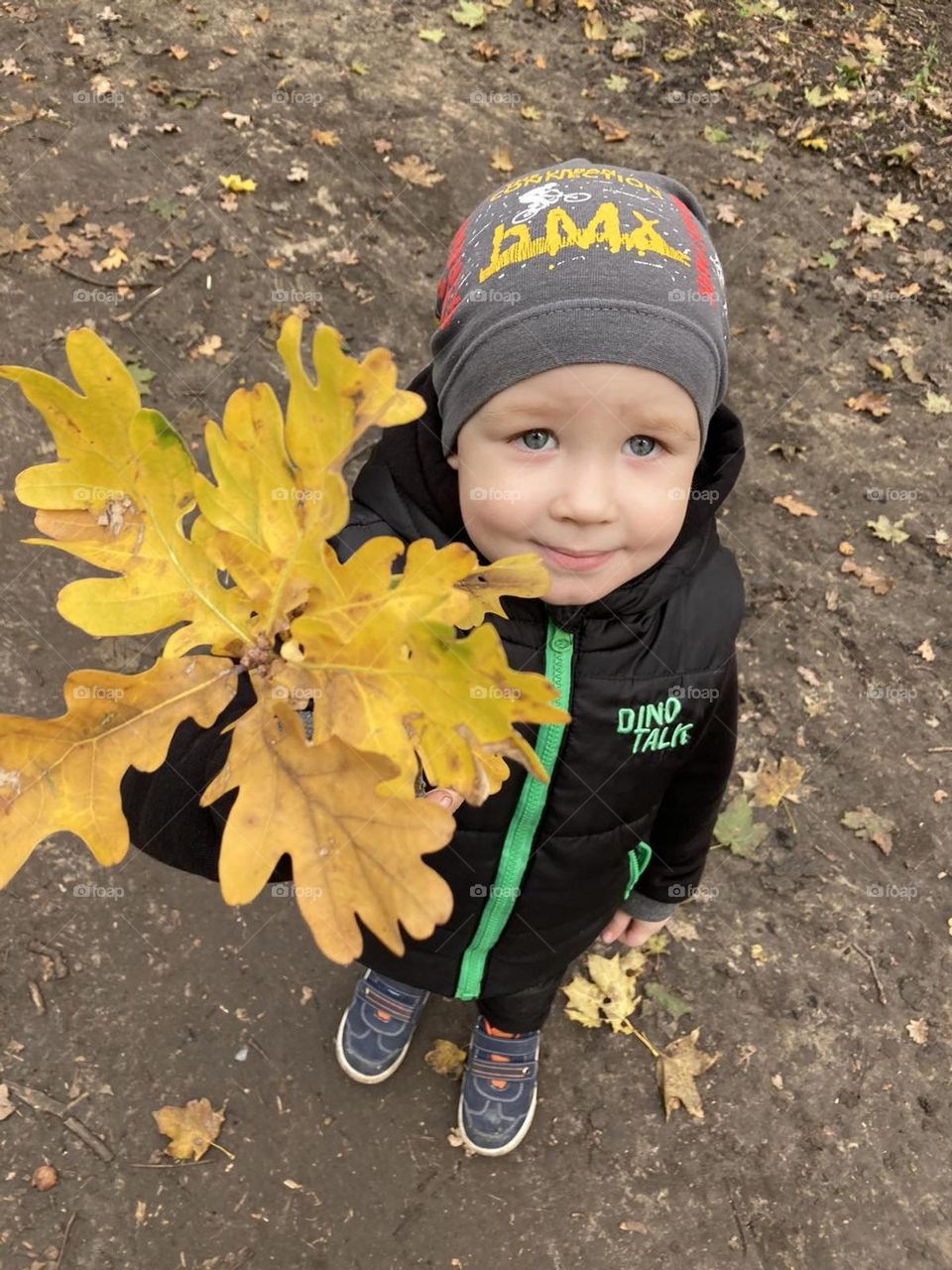 Boy with a yellow leaf