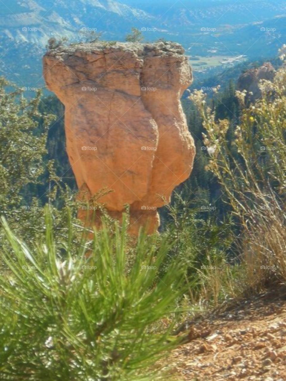 Rock formation.  Rock hard buns!