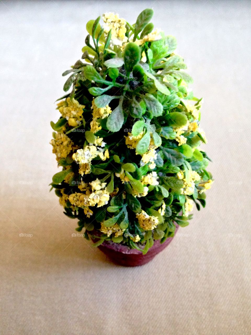 House Plants In Pots


Published by:
HappyBrownMonkey 