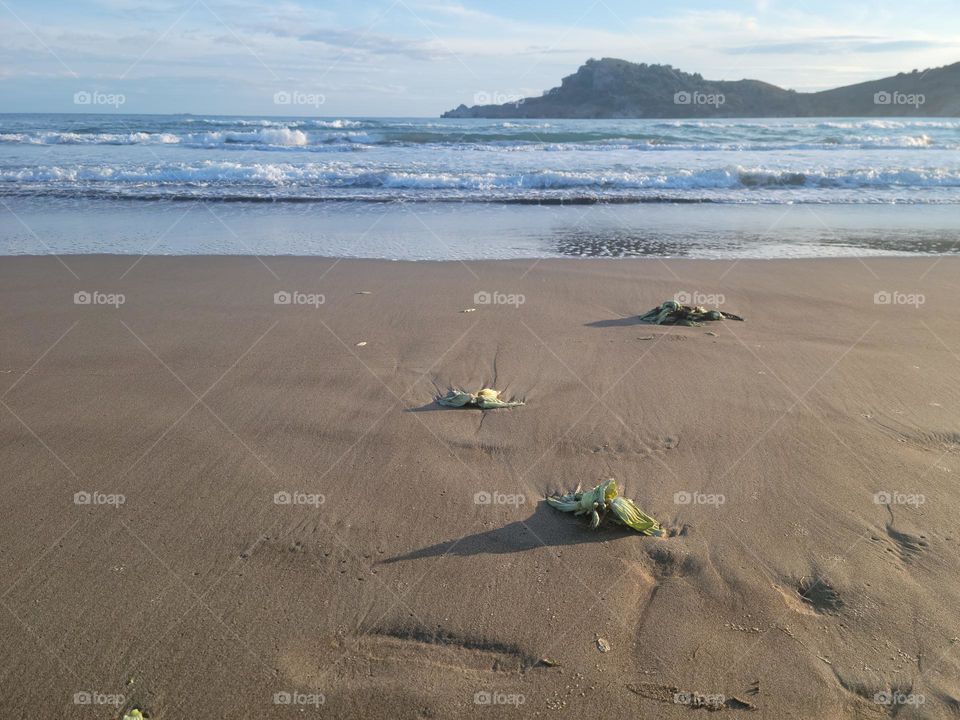 quiet moments on the beach