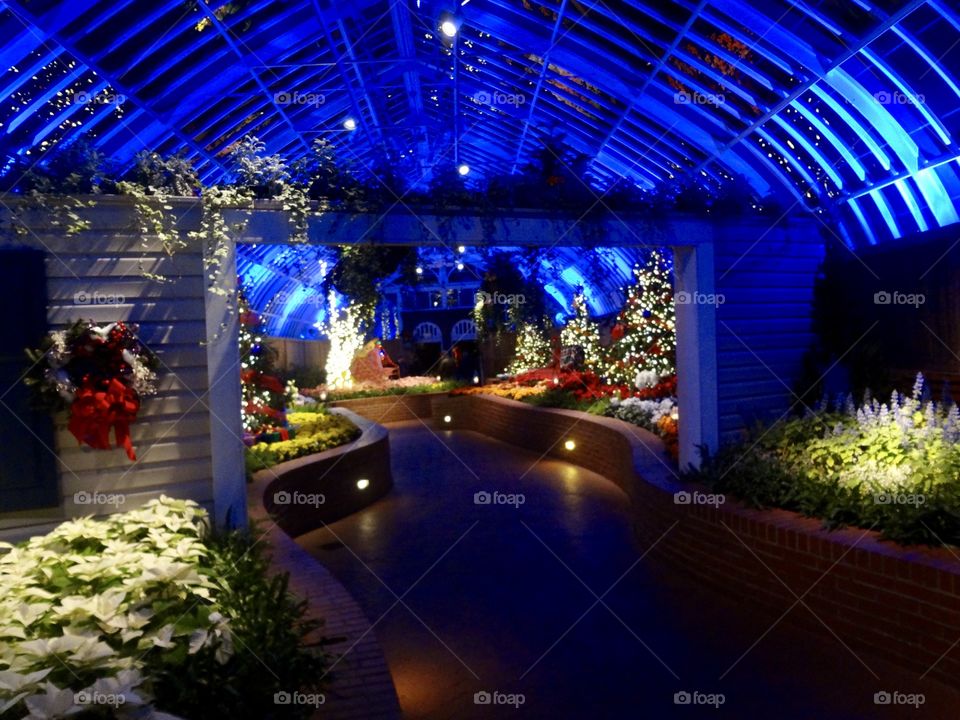 Conservatory at Christmas