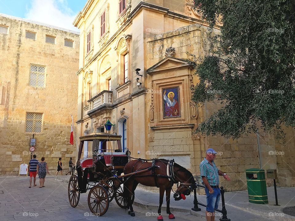 A man with his horse and a drawn carriage