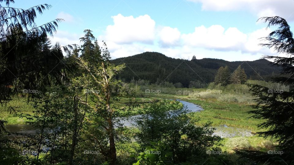 Above Siltcois Lake