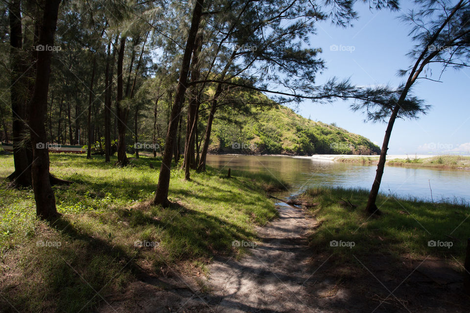 Footpath near a lake