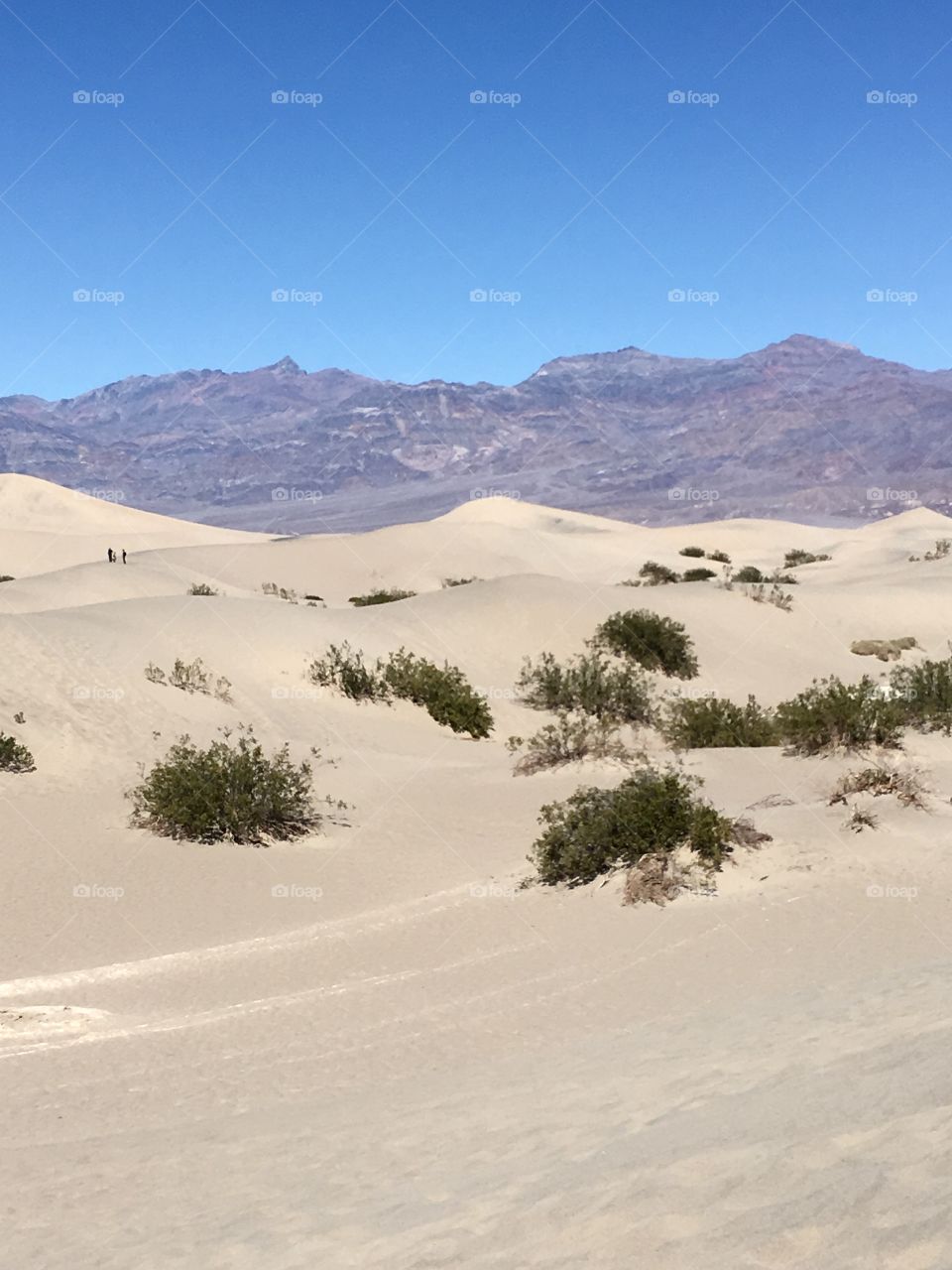 Mosquito Sand Dunes - California, USA