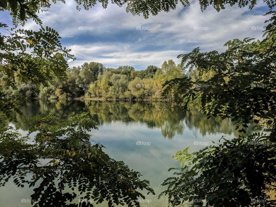 Beautiful Lake with reflection of trees