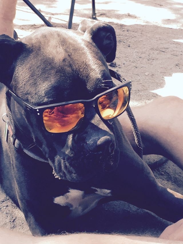 Cool guy.