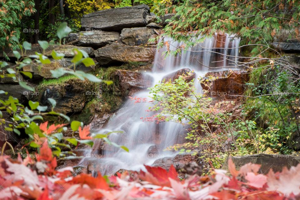 A small waterfall in the forest