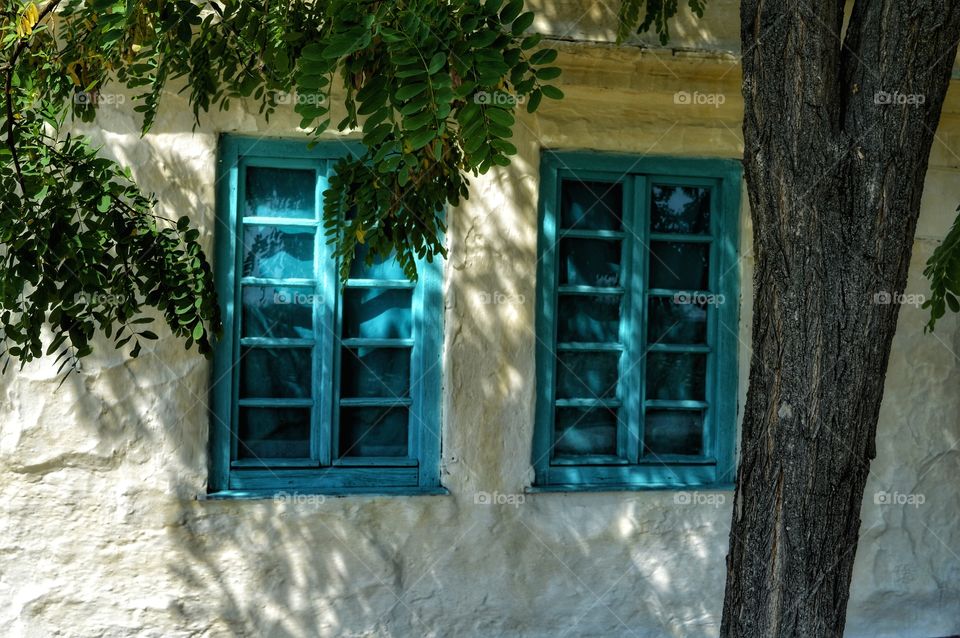 blue windows