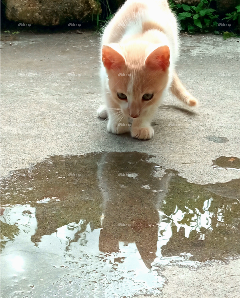 Reflejo en un poco de agua