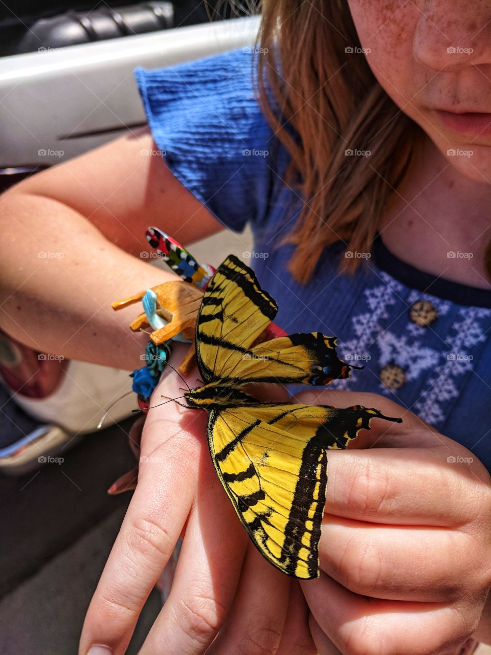 young girl holding a yellow swallow tail butterfly