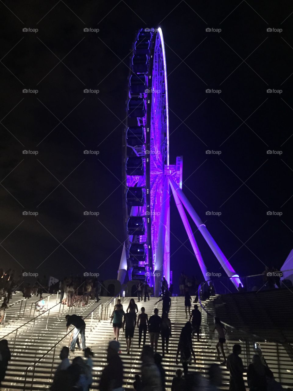 Navy pier ferris wheel