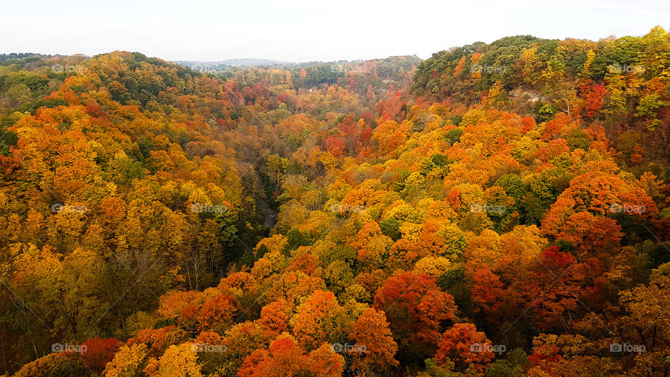 Beautiful autumn colors