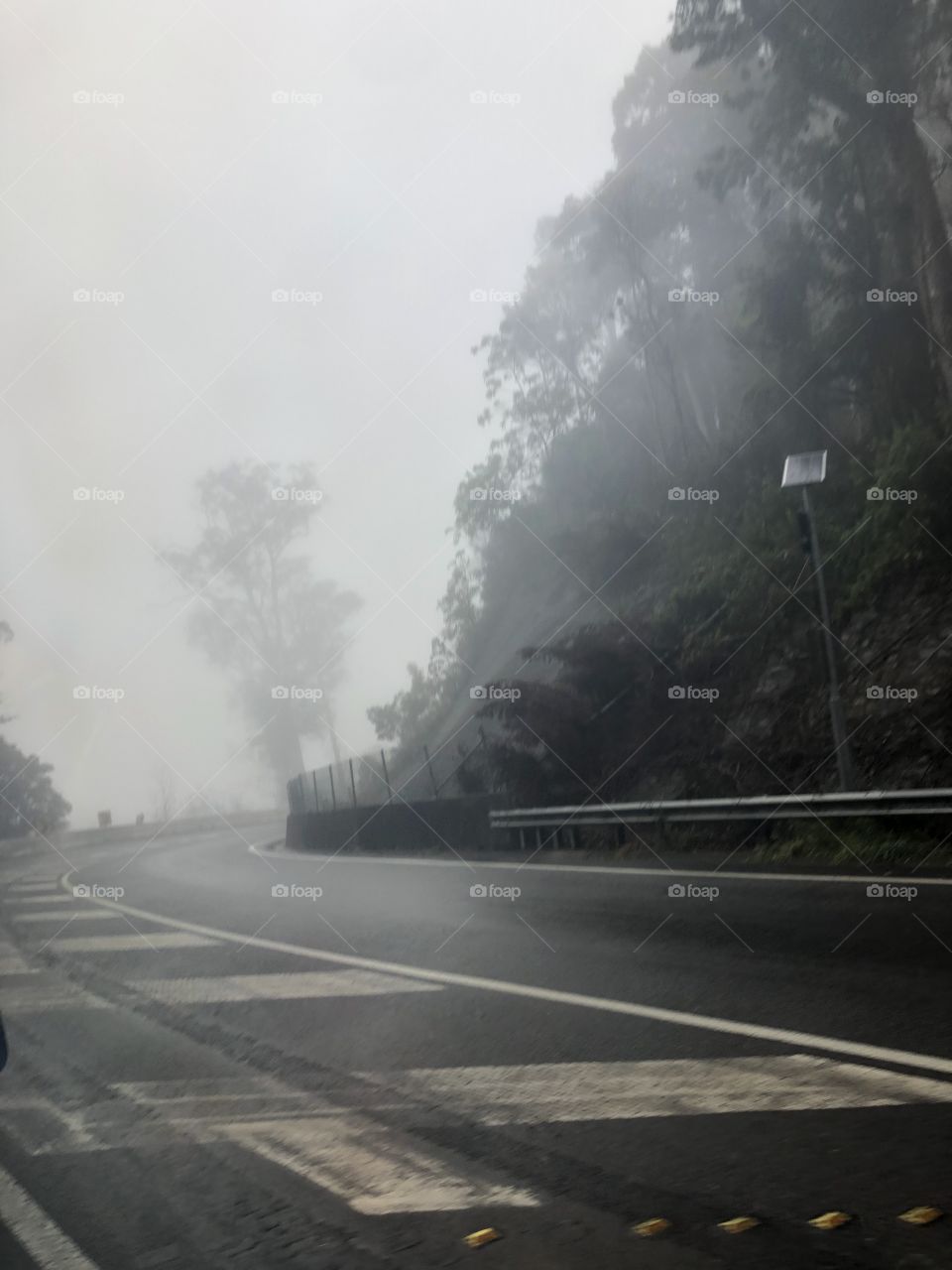 Foggy day on the road 