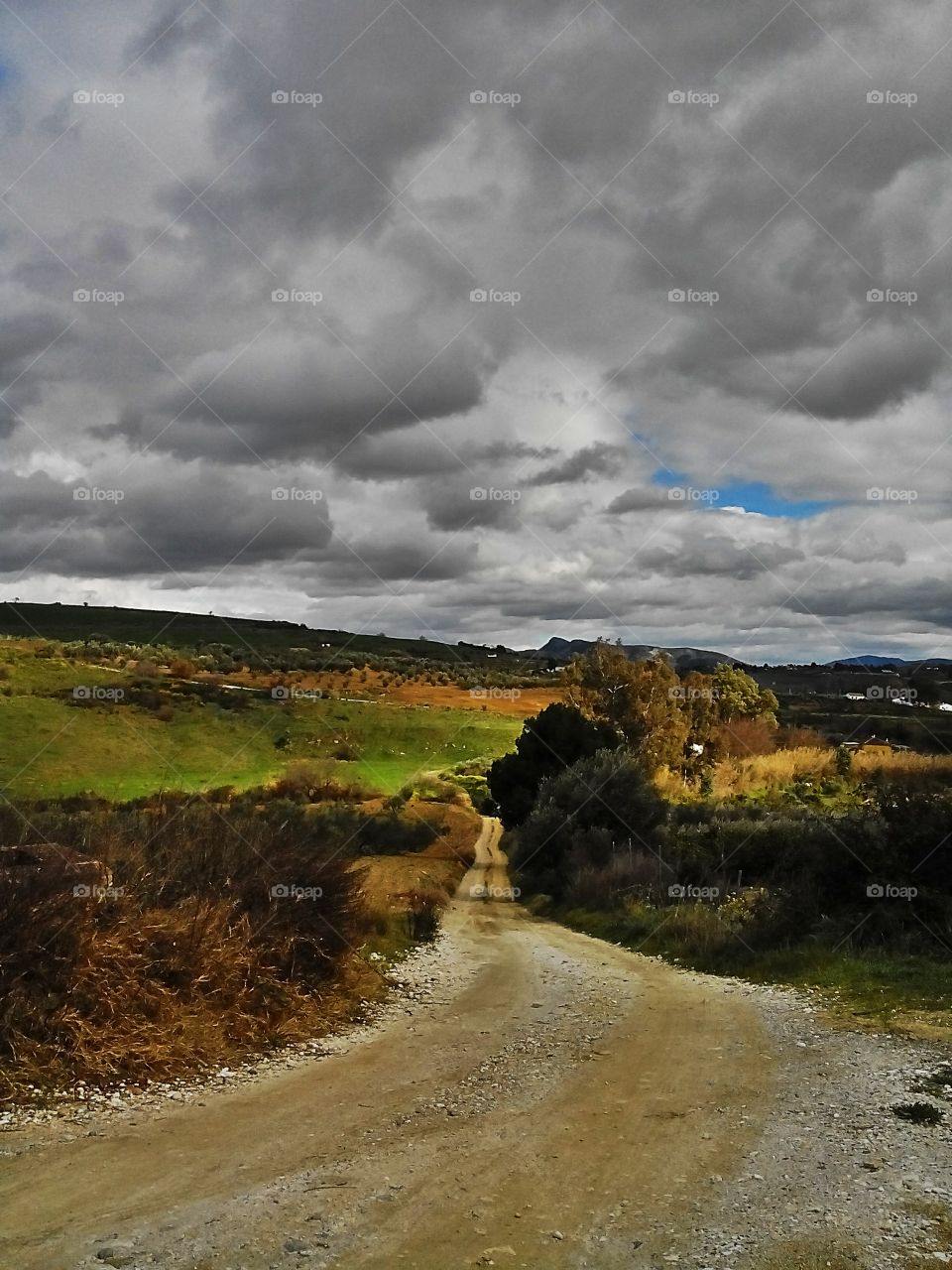 Andalucian landscape . Andalucian landscape 