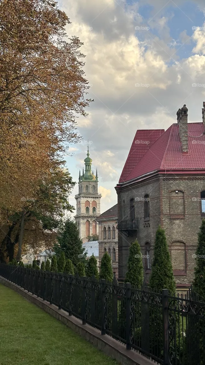 Lviv nature 