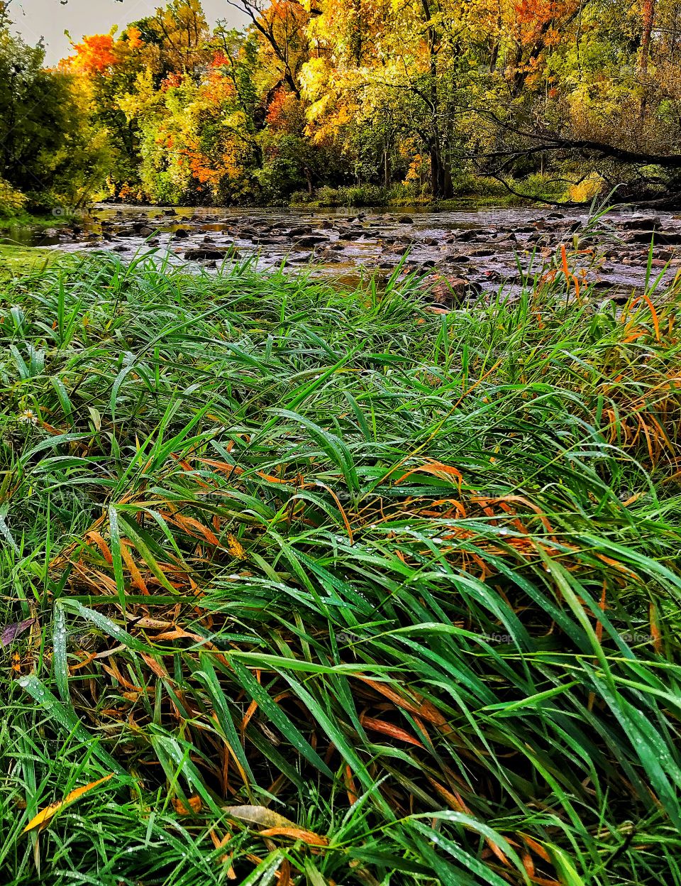 Fall colors