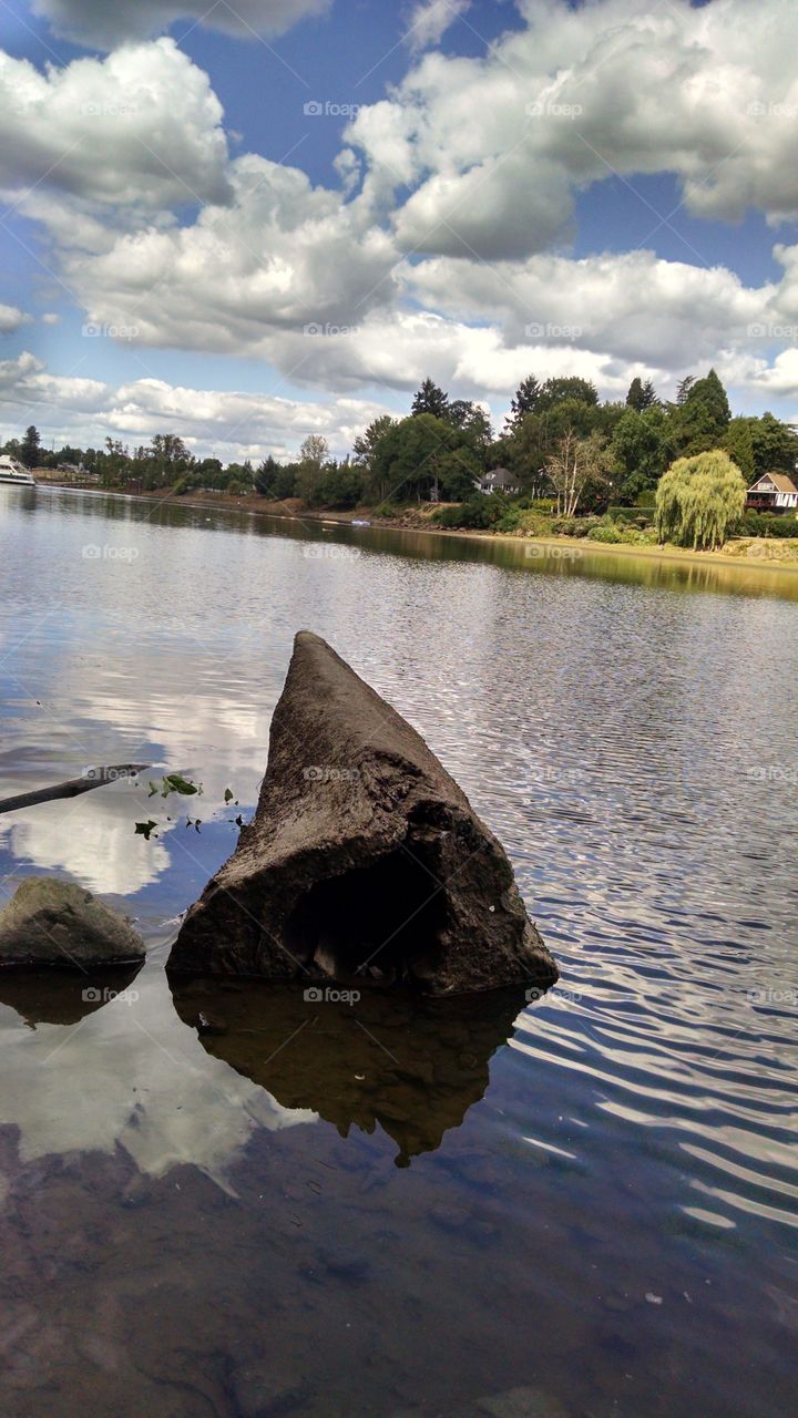 Willamette river. A cool log in the Willamette river on elk island.