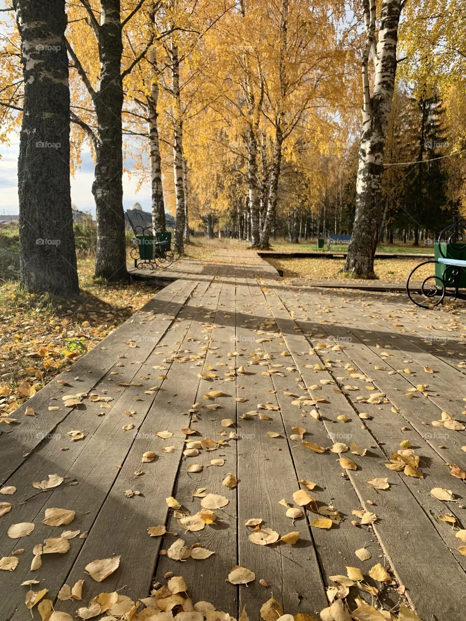 Autumn 