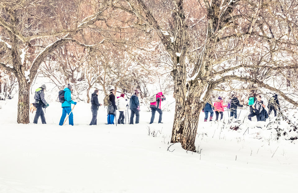 Group Of People Hiking On Snowy Mountain In Winter
