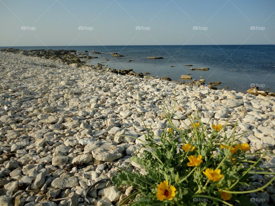 Beach, Summer, Water, Sea, Nature