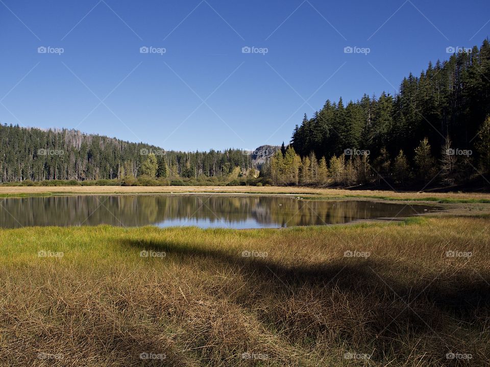 Lost Lake off of the Santiam Pass in Oregon’s mountains with multicolored trees reflecting in its waters on a beautiful sunny fall day. 