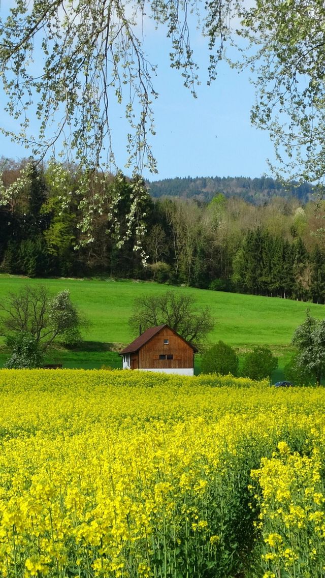 Wallpapers Switzerland natural
