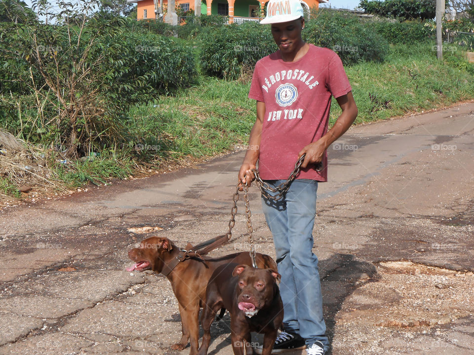 Man Taking His Dogs For a Walk