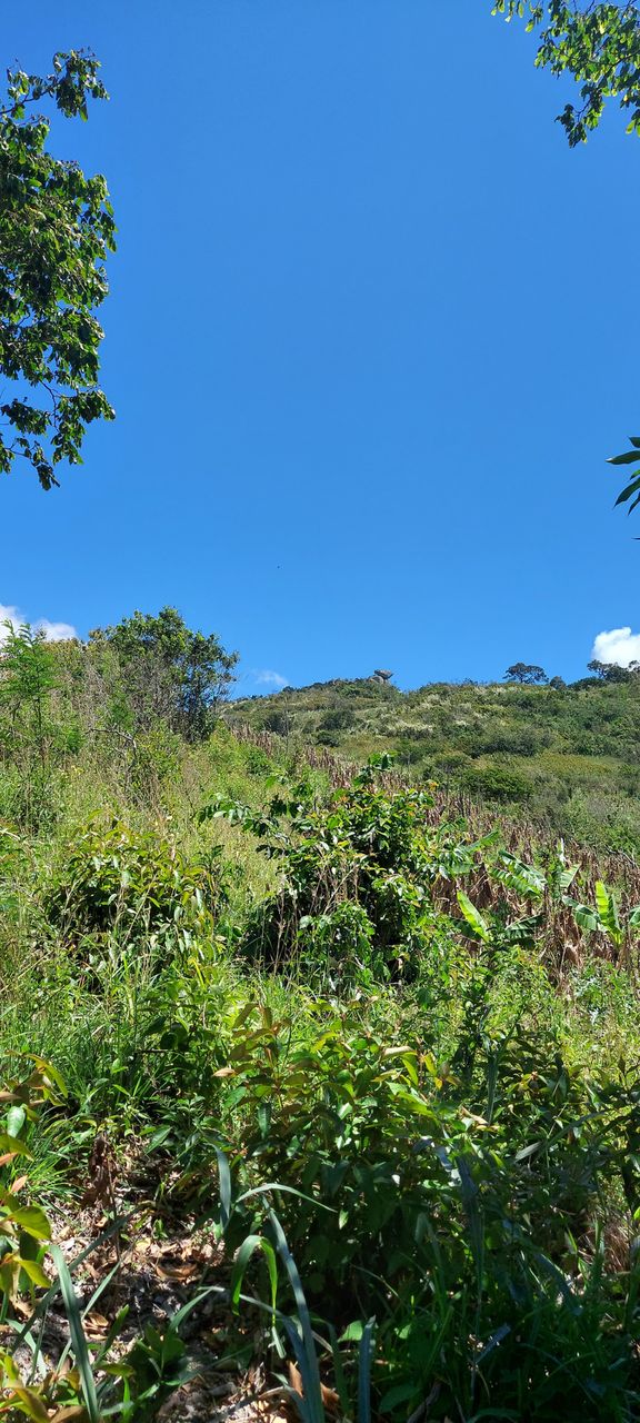 Natureza