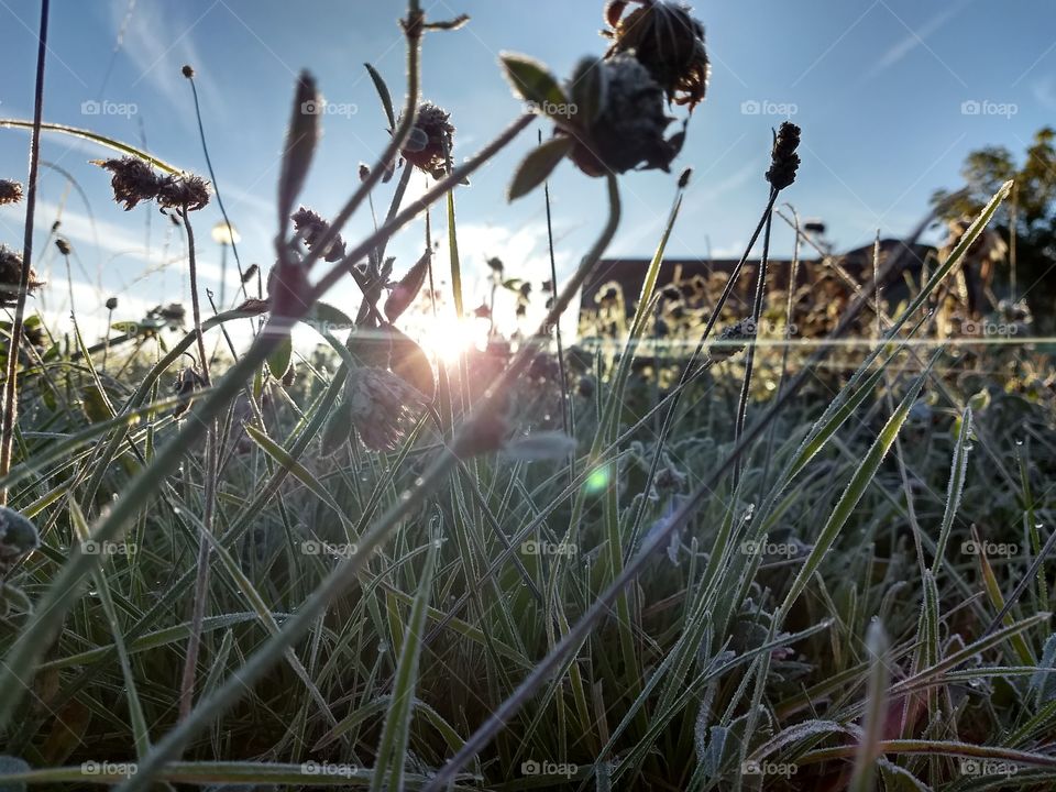 herbstmorgen