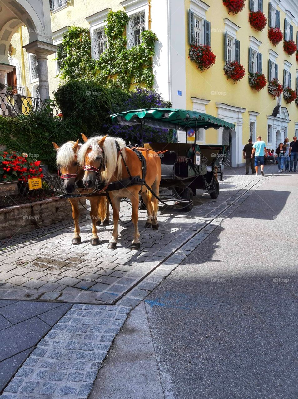 Ready for a ride with the carriage