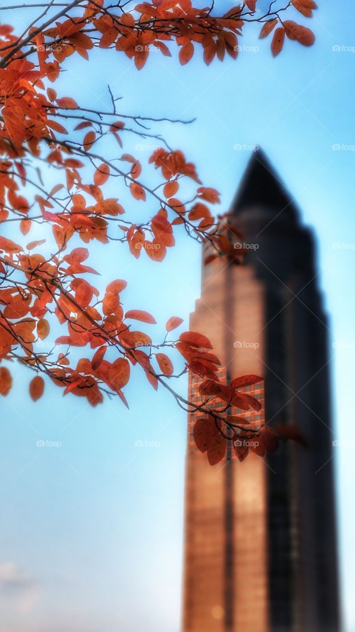 Frankfurt. Germany. Wolkenkratzer. Herbstblätter