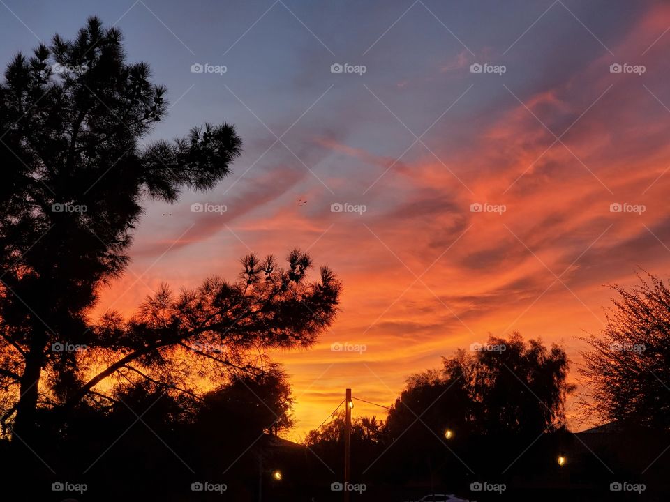 A beautiful January sunset in the Sonoran desert of the American southwest