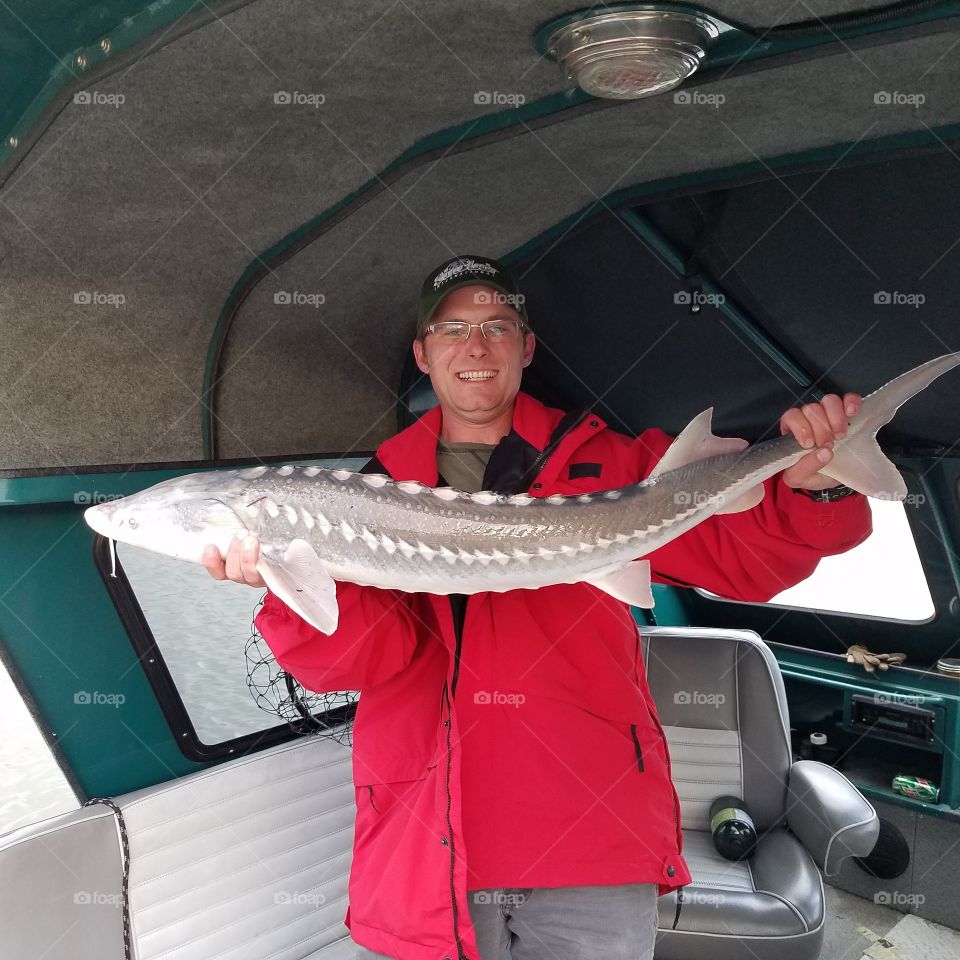 A huge sturgeon that I caught and released. on the Willamette river in Portland Oregon.