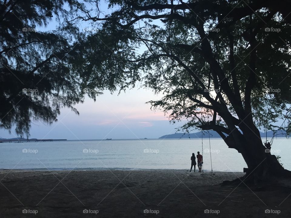 Tree, Landscape, Water, Beach, Nature