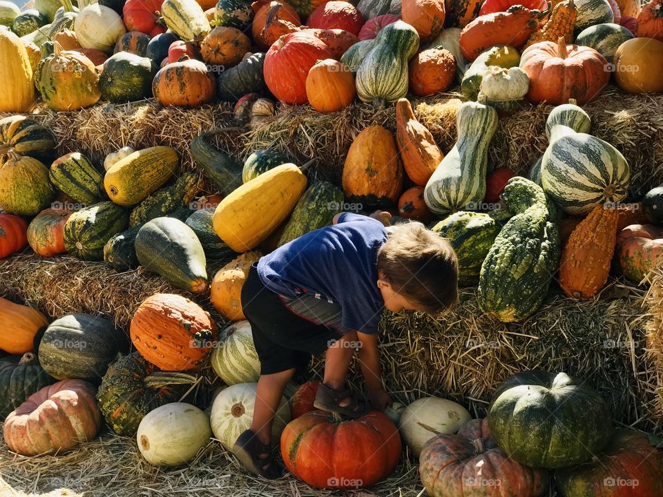 Buddy trying to find the best one for him. 