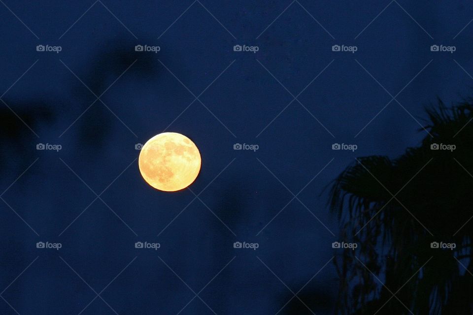 Full moon at the blue hour